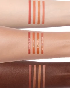 anastasia beverly hills lip liner Lip Liner