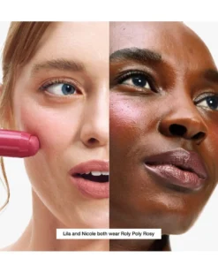 clinique chubby stick Cheek Color Balm