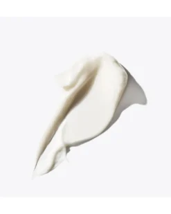 clinique smart clinical repair collagen + pdrn cream Anti-aging gezichtscrème met collageen, PDRN en peptiden