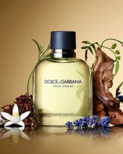 dolce & gabbana pour homme EAU DE TOILETTE