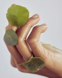 erborian centella asiatica cleansing oil REINIGINGSOLIE SOOTHING
