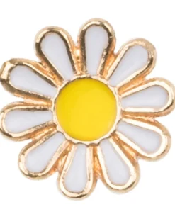 invisibobble wildflower clipstar Petals n Punch