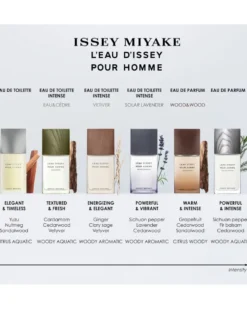 issey miyake l'eau d'issey pour homme Eau de Parfum