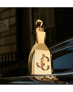 jimmy choo i want choo le parfum Eau de parfum