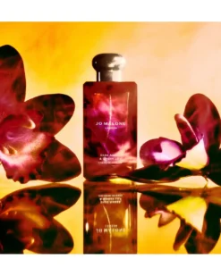 jo malone london dark amber & ginger lily COLOGNE INTENSE