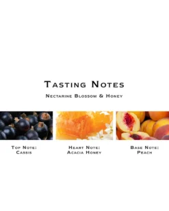 jo malone london nectarine blossom & honey BODY & HAND WASH