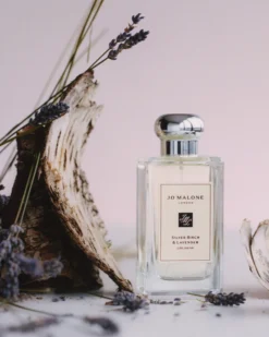 jo malone london silver berch & lavender COLOGNE