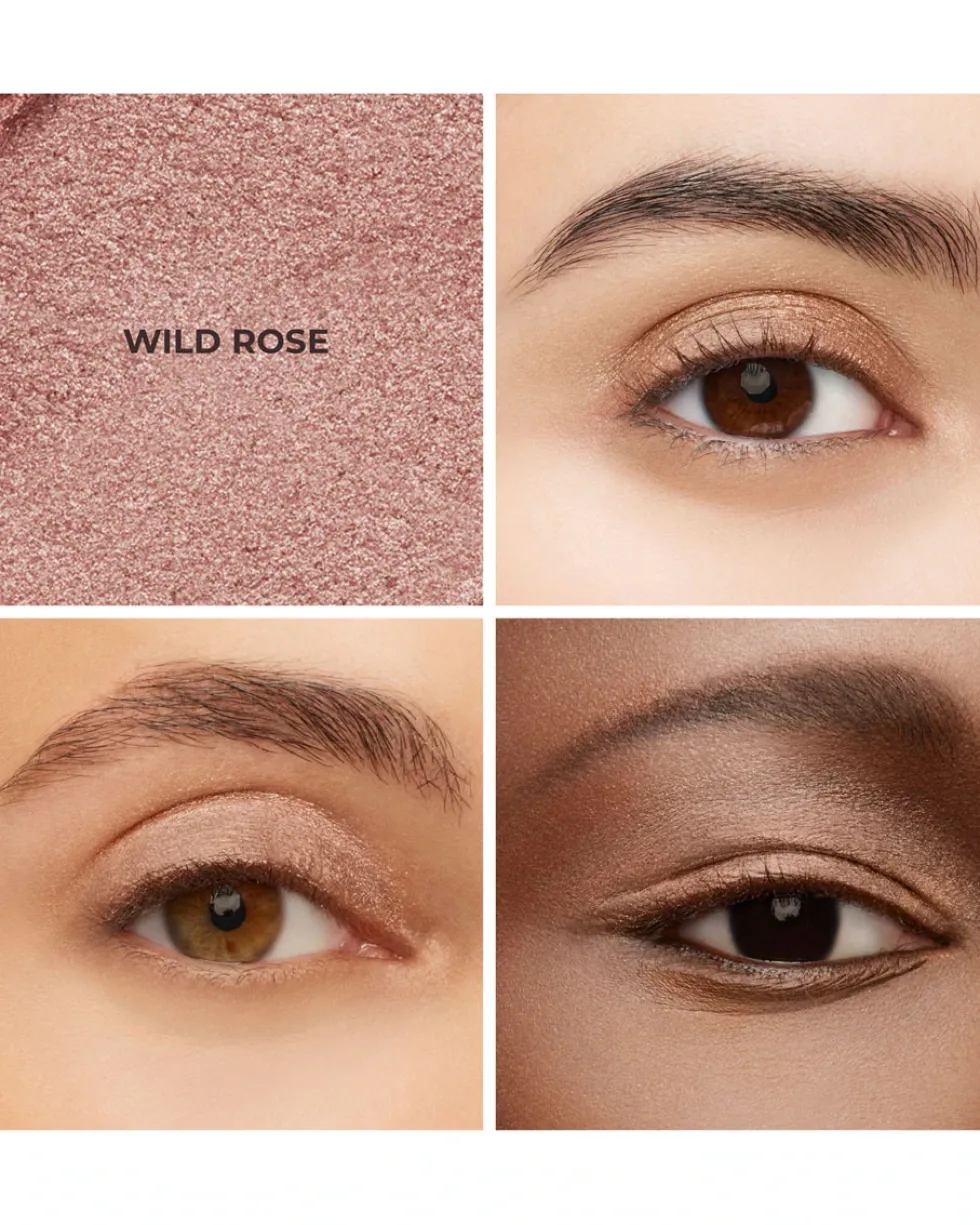 laura mercier caviar stick EYE COLOR SHIMMER