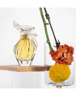 nina ricci air du temps EAU DE TOILETTE