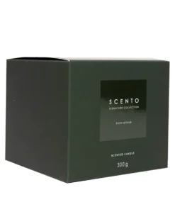 scento signature collection fizyy citrus KLEINE KAARS