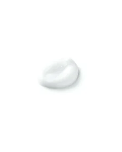 sensai cellular performance Fresh Cream