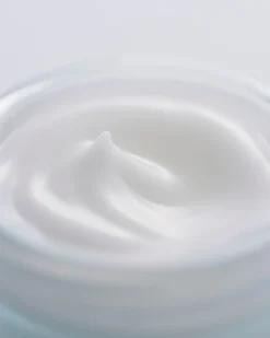 sensai cellular performance Fresh Cream