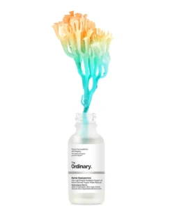 the ordinary hydrators MARINE HYALURONICS
